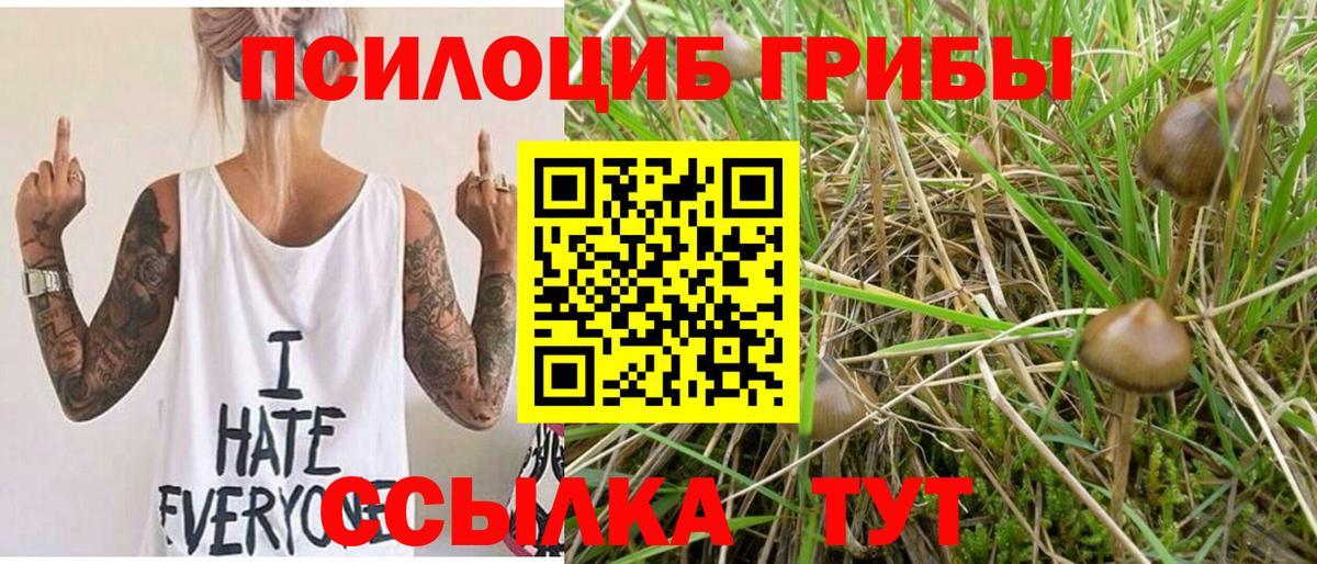 Псилоцибиновые грибы MAGIC MUSHROOMS  Галлюциногенные грибы ЛСД  Малоярославец  Вход с VPN 